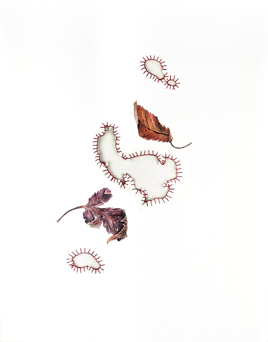 4. Changing sequence