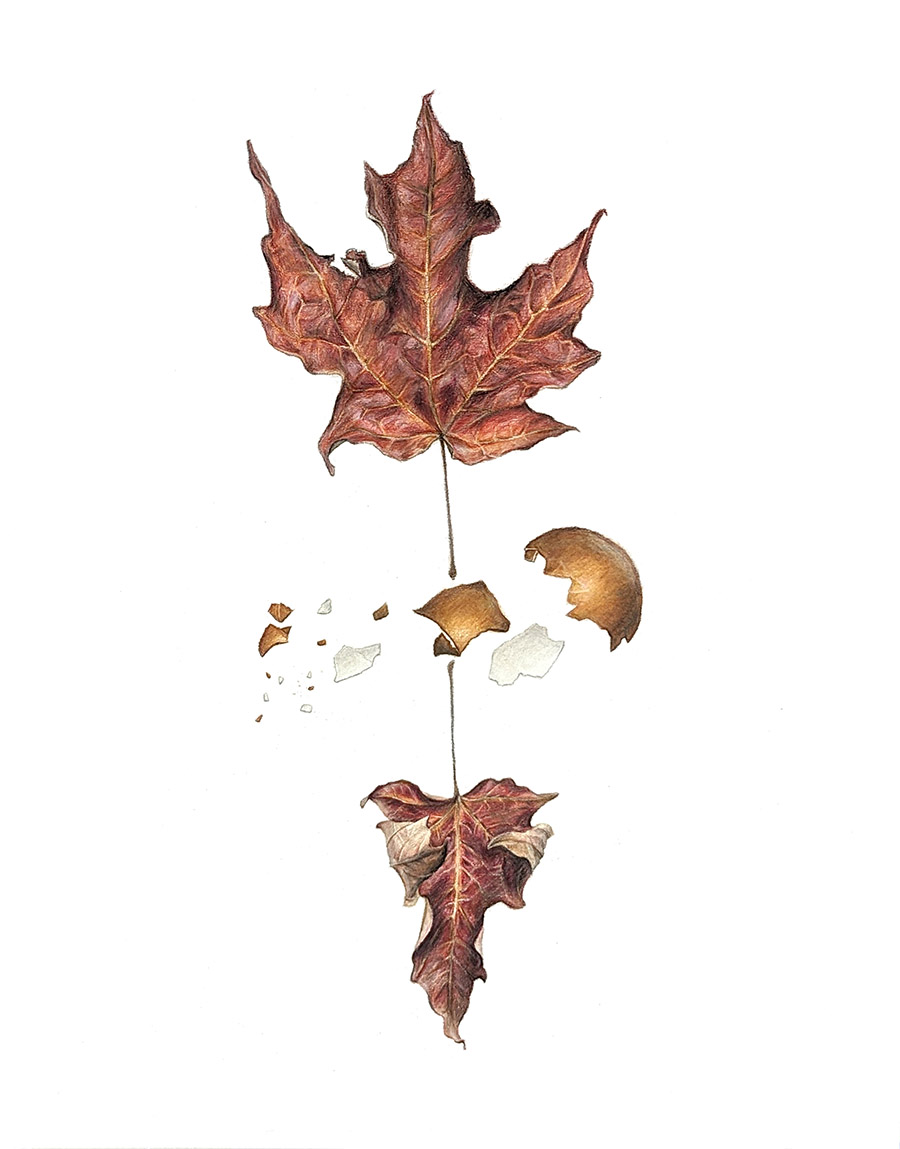 5. Game of&nbsp;perspective