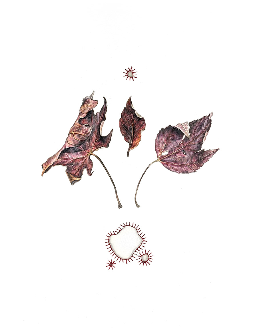 7. Three I: Red&nbsp;variations