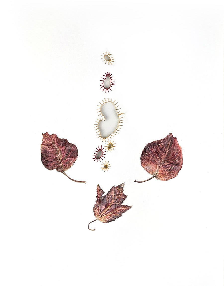 9. Three II: Closing&nbsp;scars