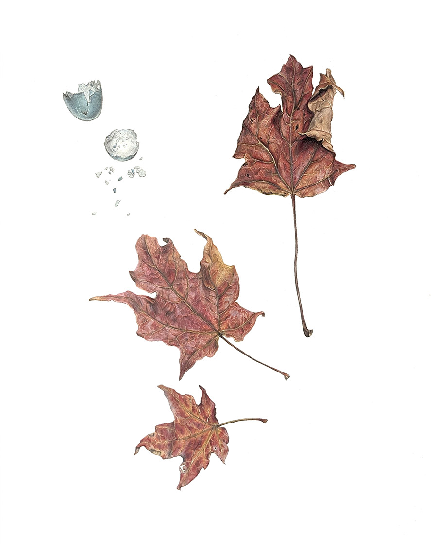 12. Uniqueness II:&nbsp;Dryness