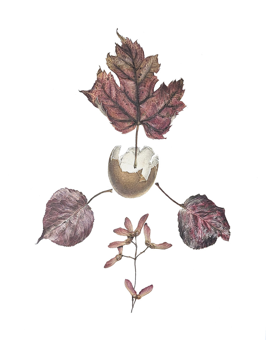 15. Three III:&nbsp;Equidistant